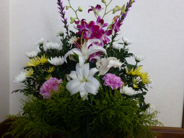 H25.8.15.JPG