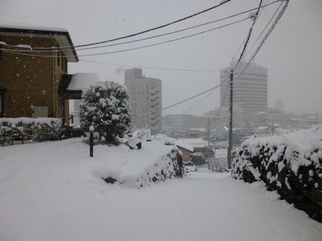 P1040419.JPG