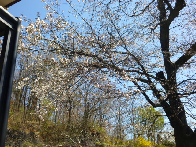 P1040769.JPG