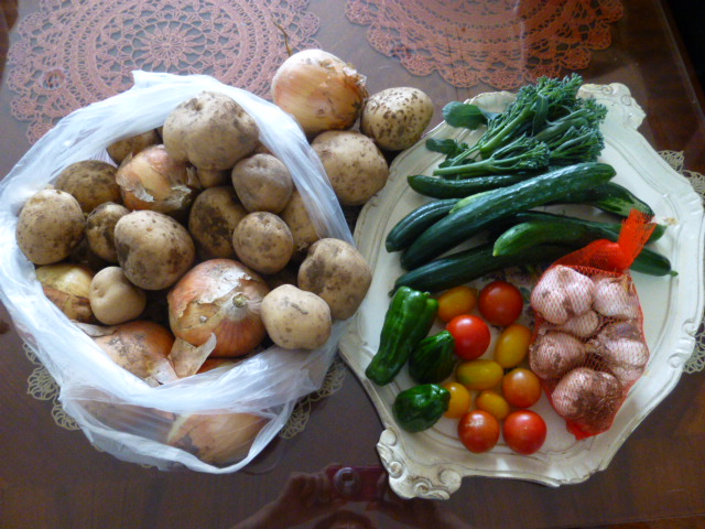 P1050279.JPG