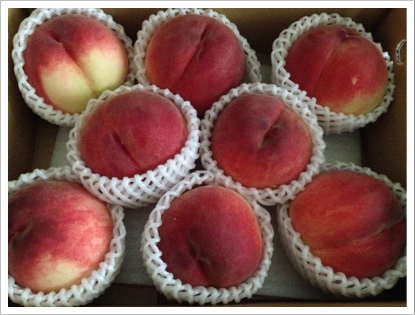 IMG_1978.JPG IMG_1978.JPG