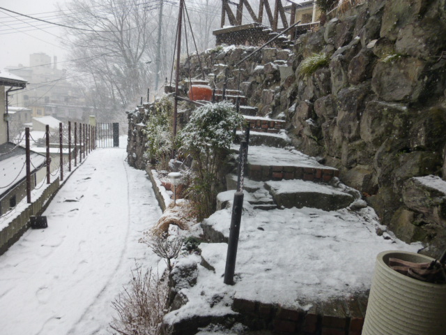 H27.2.8午前中の積雪.JPG H27.2.8午前中の積雪.JPG