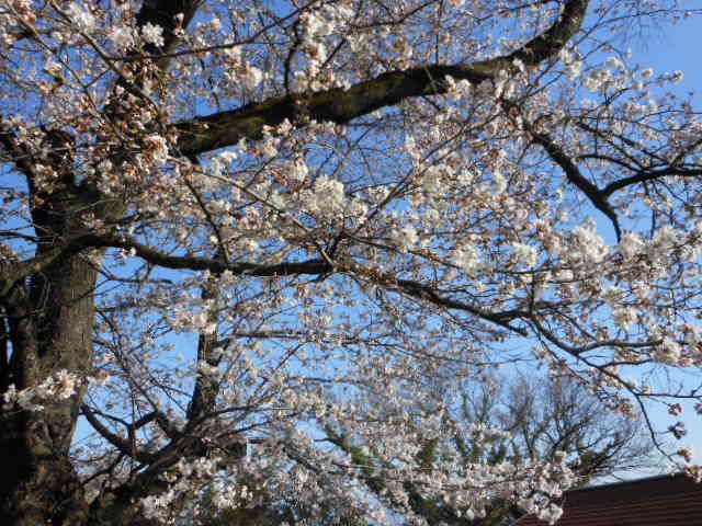 DSCN0117.JPG DSCN0117.JPG
