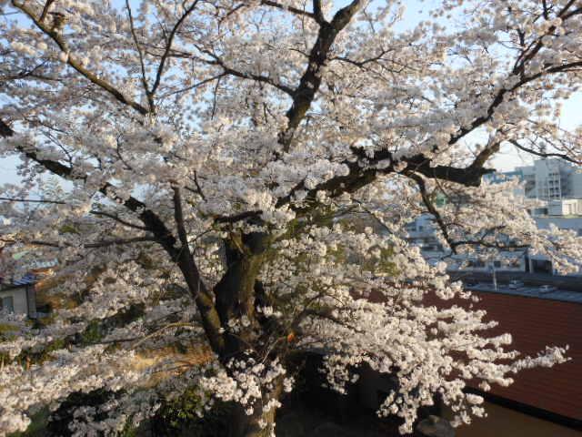 DSCN0136.JPG