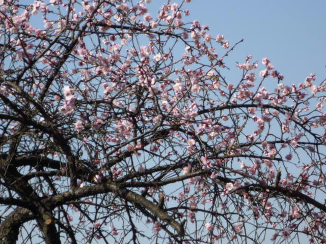 ǰH21.2.17.JPG