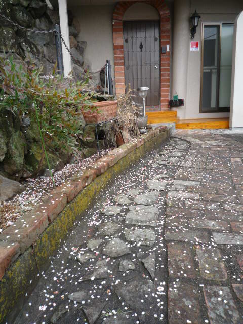 ǰH21.2.28.JPG