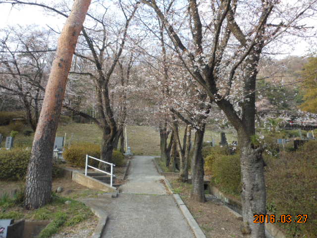 H28.3.27つつじが埼霊園.JPG H28.3.27つつじが埼霊園.JPG