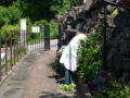 柚子の木の剪定H21.5.14.JPG 柚子の木の剪定H21.5.14.JPG