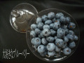P1040114Υԡ.jpg