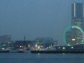 P1050042.JPG