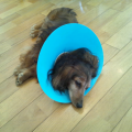2012-07-04-11-12-58_photo.png